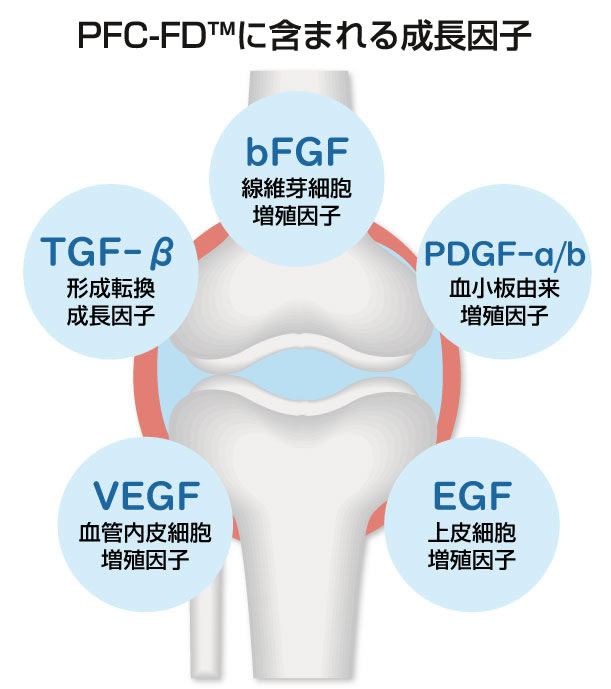 PFC-FDに含まれる成長因子上皮細胞